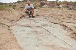 Dinosaur Footprints Found in China