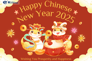 Happy Chinese New Year 2025
